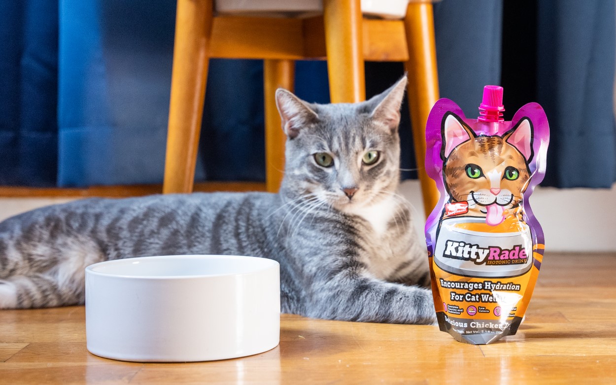 KittyRade, a hidratação que o seu gato precisa - PetOutlet